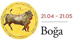 aralık ayı boğa burcu yorumu