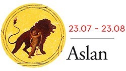 aralık ayı aslan burcu yorumu