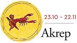 aralık ayı akrep burcu yorumu