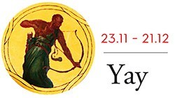 aralık ayı yay burcu yorumu